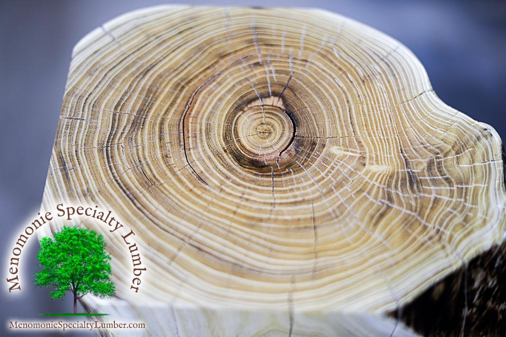 Honey Locust & Black Walnut End Tables 